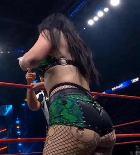 Image 4407868 from WWE's Paige / Saraya Bevis