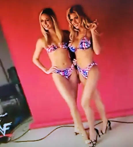 Image 4407530 from WWE Torrie Wilson