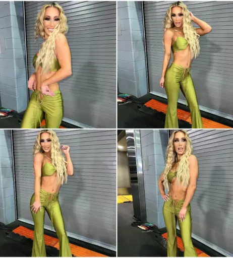 Image 4407108 from Women of Professional Wrestling