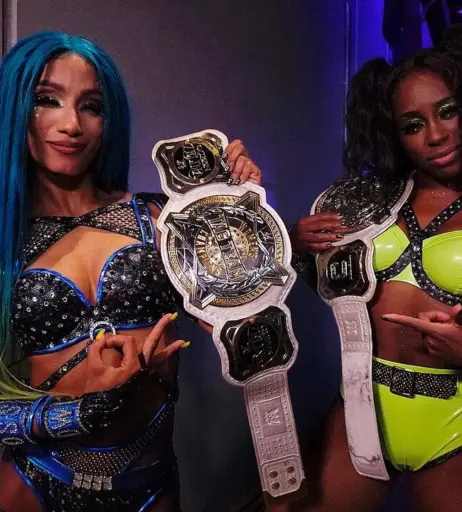 Image 4407000 from Women of Professional Wrestling