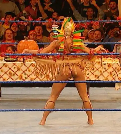 Image 4404897 from WWE Torrie Wilson