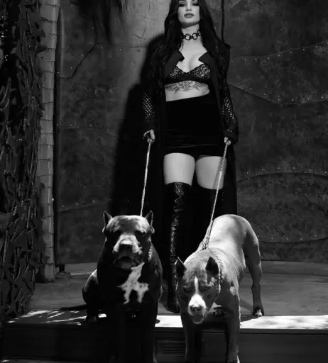 Image 4404715 from WWE's Paige / Saraya Bevis