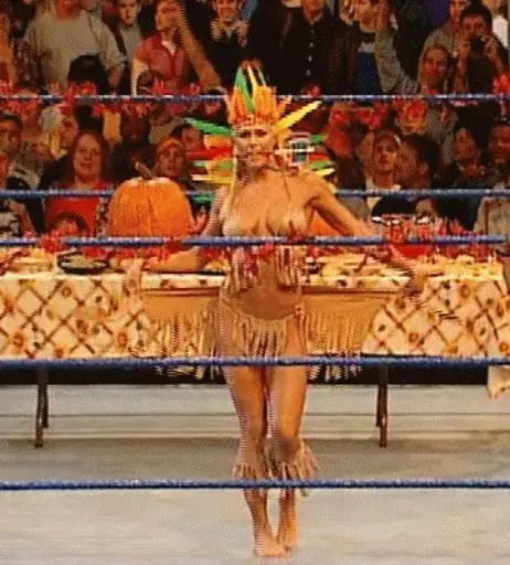 Image 4404723 from WWE Torrie Wilson