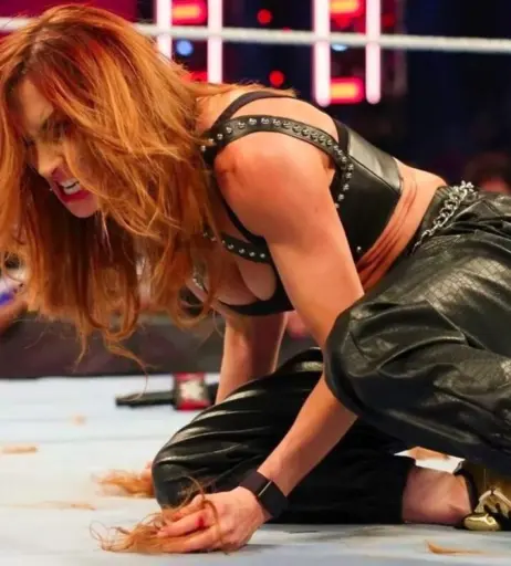 Image 4401038 from Women of Professional Wrestling