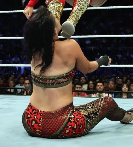 Image 4401261 from WWE Bayley / Davina Rose / Pamela Rose Martinez