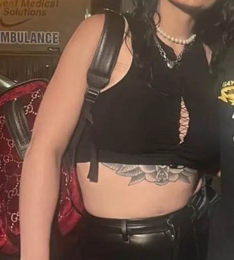 Image 4402239 from WWE's Paige / Saraya Bevis