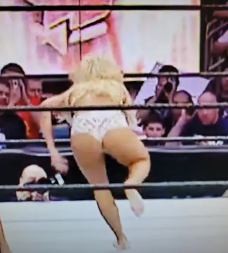 Image 4403579 from WWE Torrie Wilson