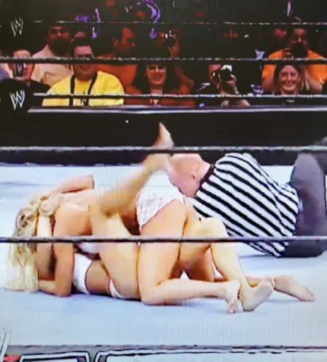 Image 4403904 from WWE Torrie Wilson