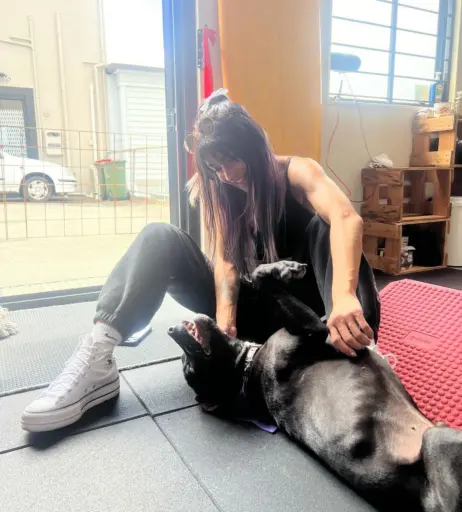 Image 4400551 from Dakota Kai