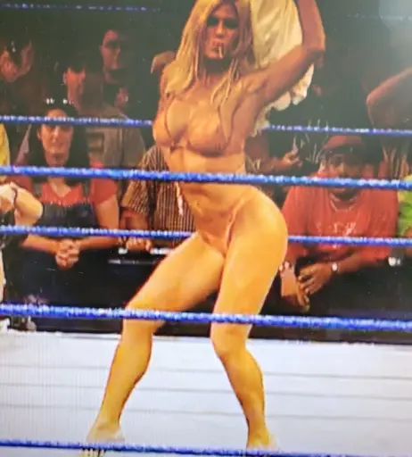 Image 4409425 from WWE Torrie Wilson