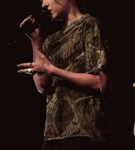 Image 4409698 from Chappell Roan