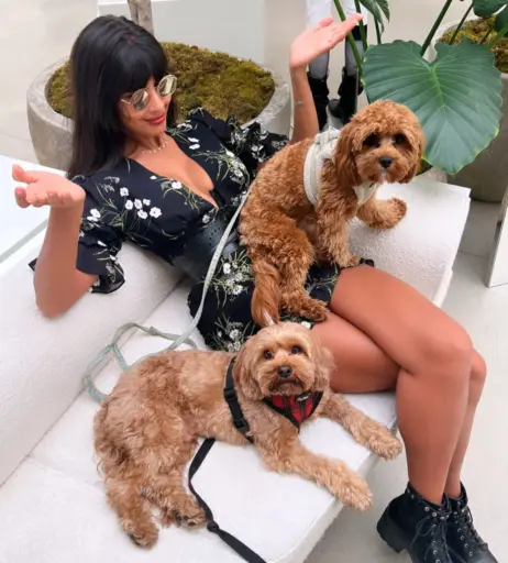 Image 4409662 from Jameela Jamil