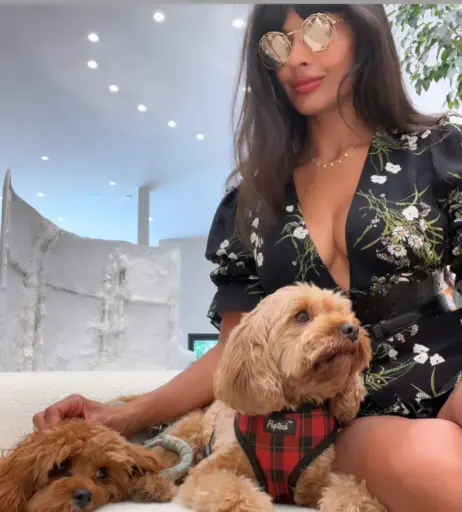 Image 4409637 from Jameela Jamil