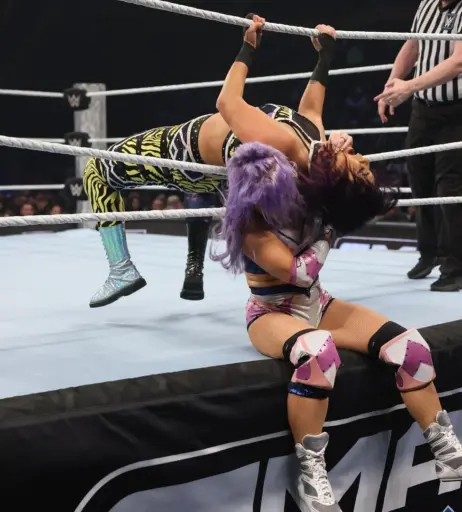 Image 4409196 from WWE Bayley / Davina Rose / Pamela Rose Martinez