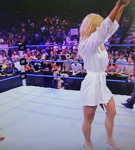Image 4409065 from WWE Torrie Wilson