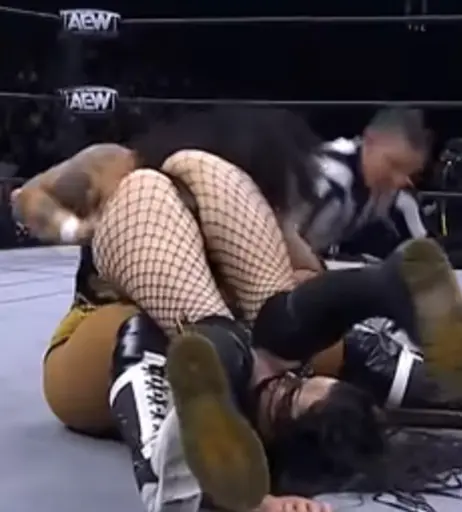 Image 4409273 from WWE's Paige / Saraya Bevis