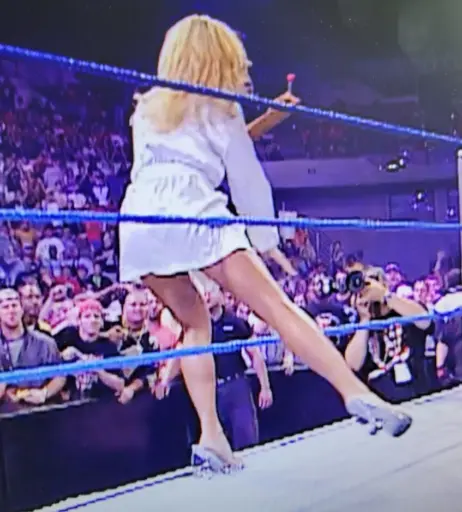 Image 4408745 from WWE Torrie Wilson