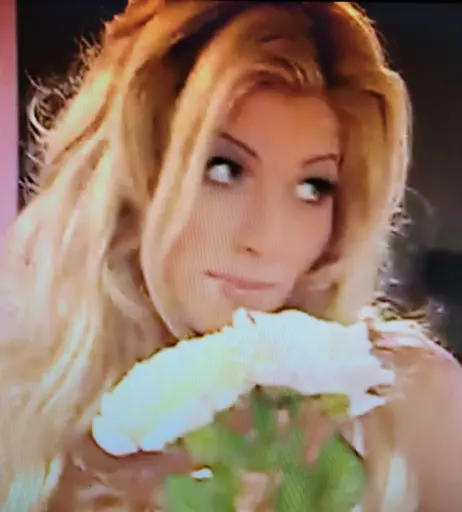 Image 4408620 from WWE Torrie Wilson