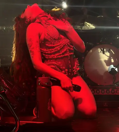 Image 4408265 from Chappell Roan