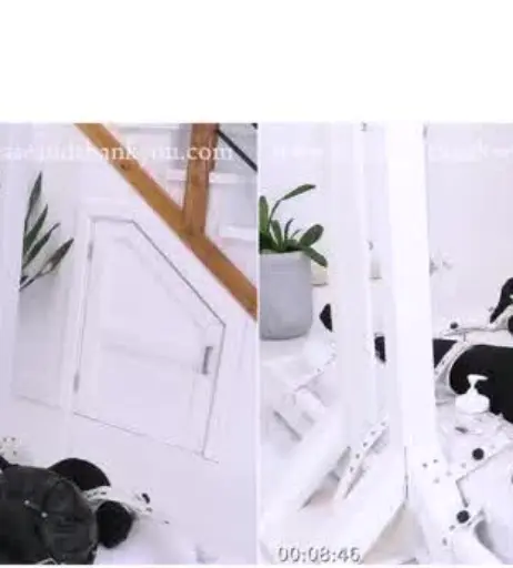 Image 4599098 from Marisol Price