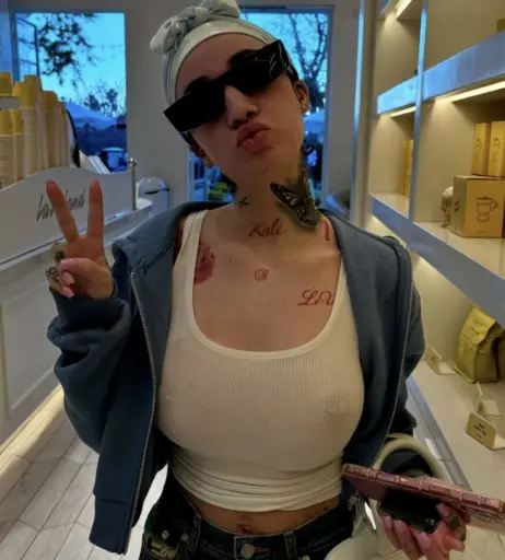 Image 4585748 from Bhad Bhabie