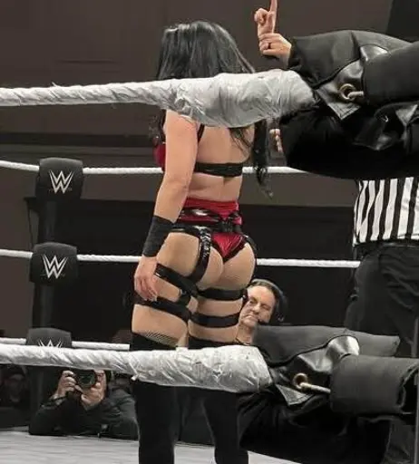 Image 4589253 from Stephanie vaquer