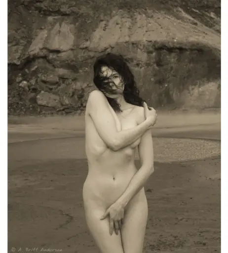 Image 4545836 from Icelandic Selkie