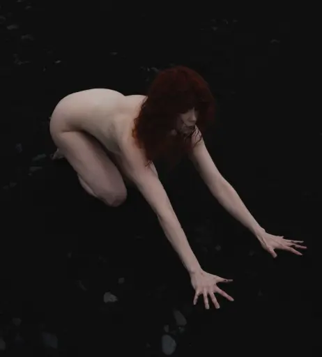 Image 4545081 from Icelandic Selkie
