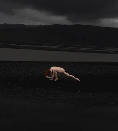 Image 4545068 from Icelandic Selkie