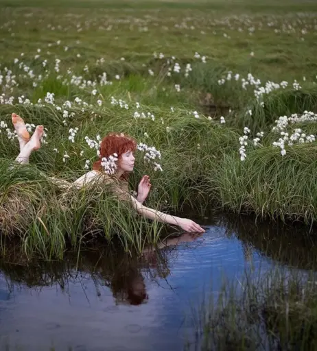 Image 4545009 from Icelandic Selkie