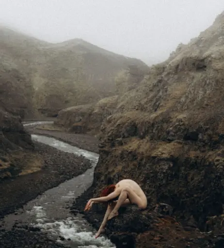 Image 4544892 from Icelandic Selkie