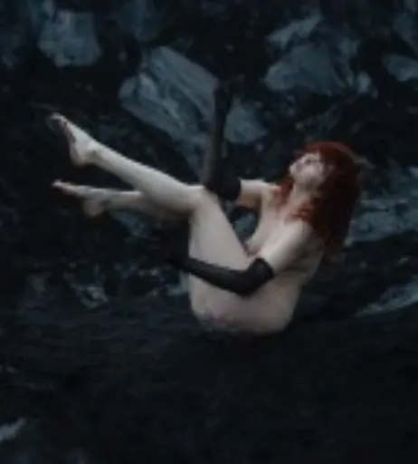 Image 4544849 from Icelandic Selkie