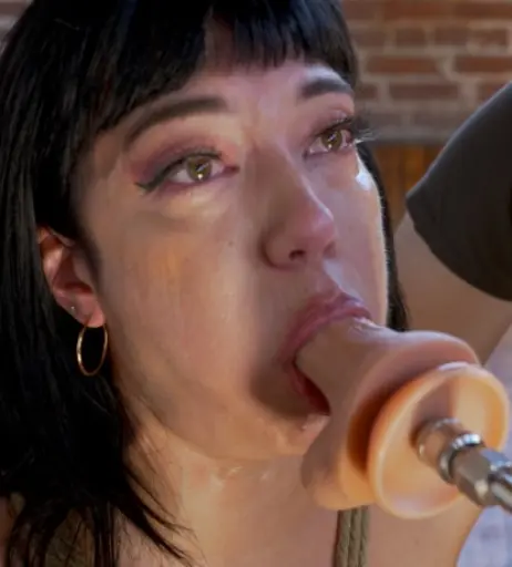 Image 4544801 from Little Puck