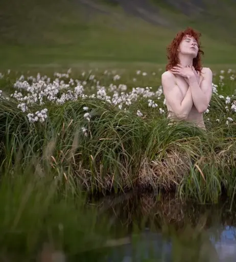 Image 4544990 from Icelandic Selkie