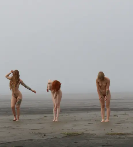 Image 4541373 from Icelandic Selkie
