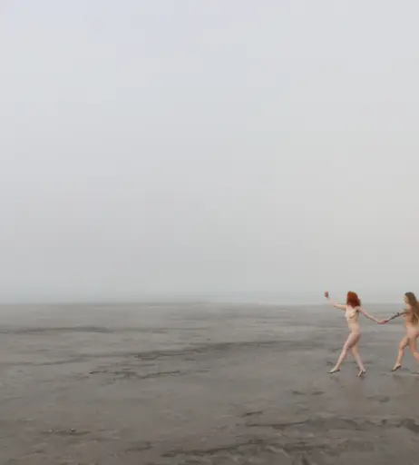 Image 4543501 from Icelandic Selkie