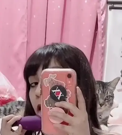 Image 4537552 from DeerTeers