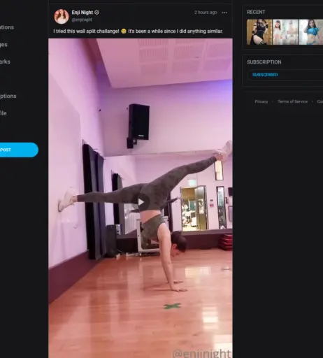 Image 4531802 from Enji Night