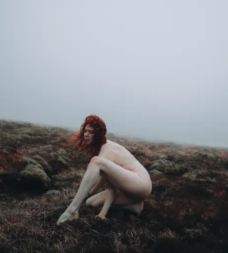 Image 4525301 from Icelandic Selkie