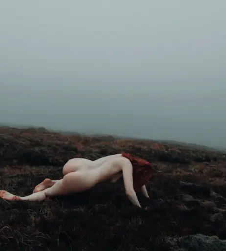 Image 4526480 from Icelandic Selkie