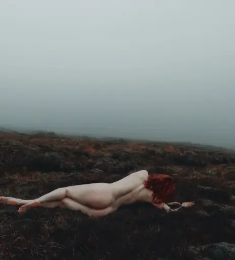Image 4526294 from Icelandic Selkie