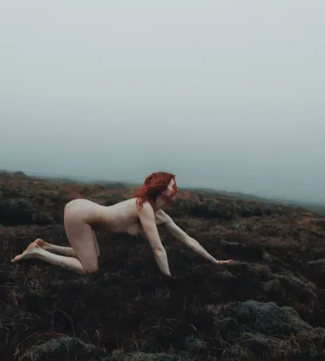 Image 4527549 from Icelandic Selkie