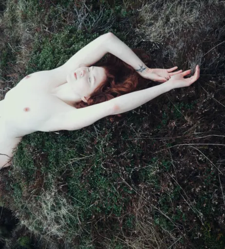 Image 4524119 from Icelandic Selkie