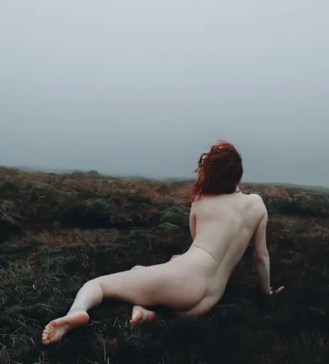 Image 4528212 from Icelandic Selkie