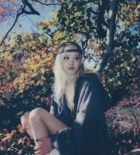 Image 4501401 from Rosé || Roseanne Park - BLΛƆKPIИK ( BLACKPINK )