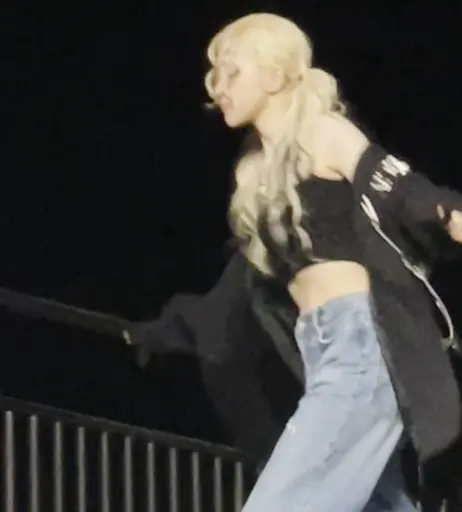 Image 4500288 from Rosé || Roseanne Park - BLΛƆKPIИK ( BLACKPINK )