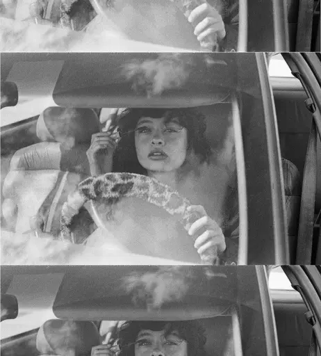 Image 4694642 from Ash D’Alonzo