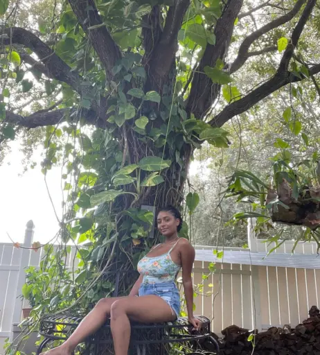 Image 4691813 from planterriah