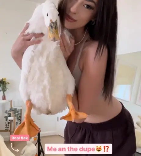 Image 4690426 from yyyudy / yudyandaflak / udeeee