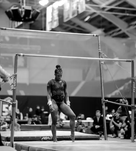 Image 4690604 from Skyla Schulte